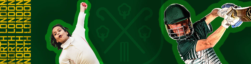 Website Banner